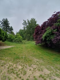 „Zagospodarowanie zieleńca przy ul. Mikołowskiej” – etap II, prace dodatkowe